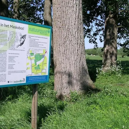 De Kastanjeboom Frühstückspension Jabbeke (West-Flanders)