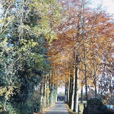 De Kastanjeboom